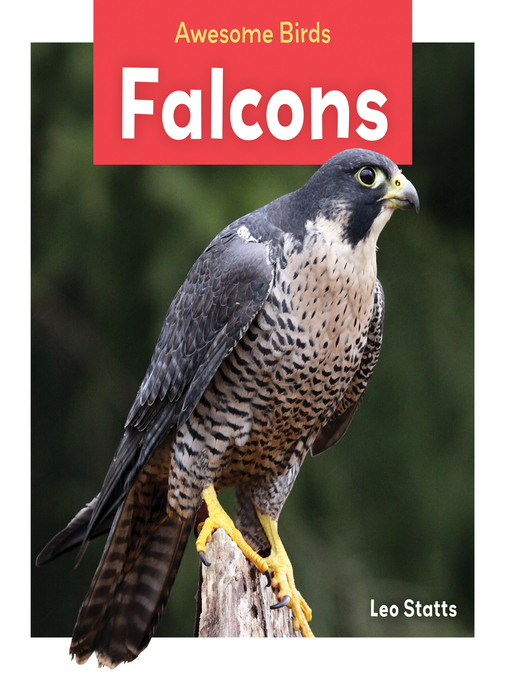 Title details for Falcons by Leo Statts - Available